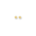 14K Gold Polished 6mm Post Earring