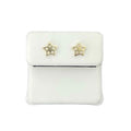 10kt Gold Star Earrings