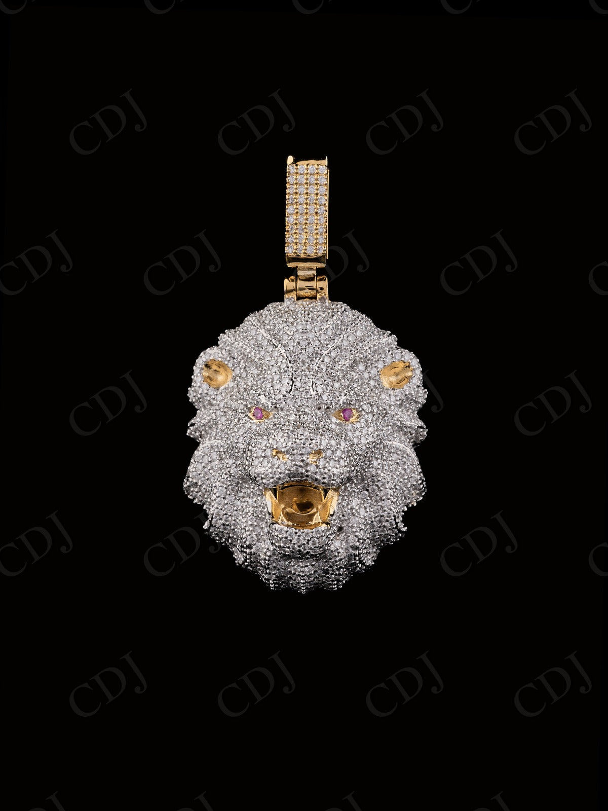 Lion Face